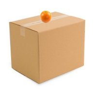  The orange is on the box. - Apelsinas yra ant dėžės.